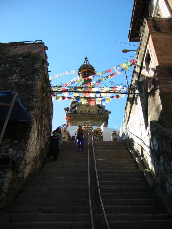 Monkey Temple Steps (the top)